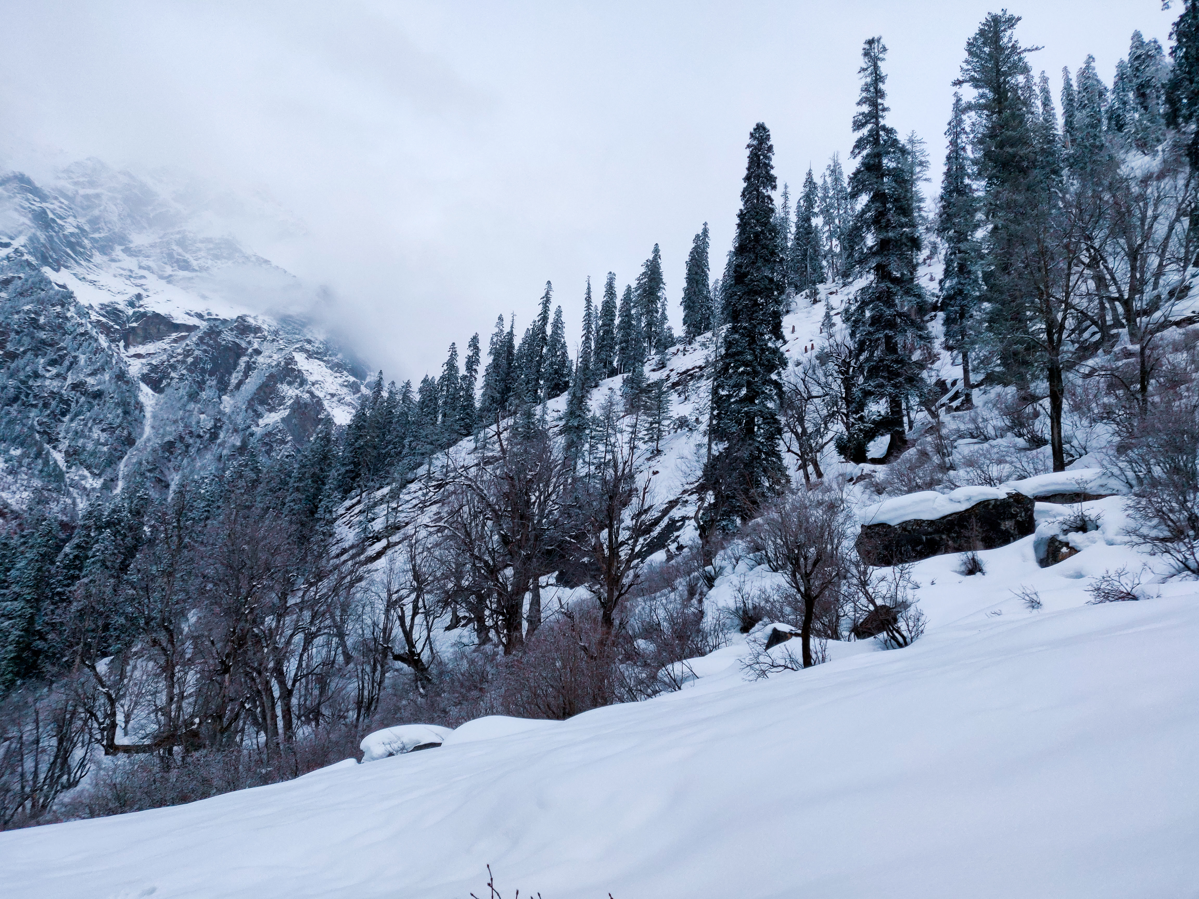 Parvati Valley Tour